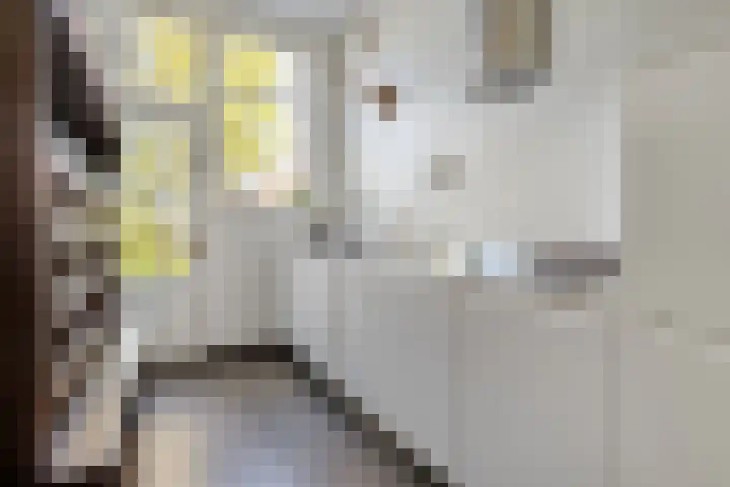 Sluiskade Noordzijde 98 Almelo thumbnail 26