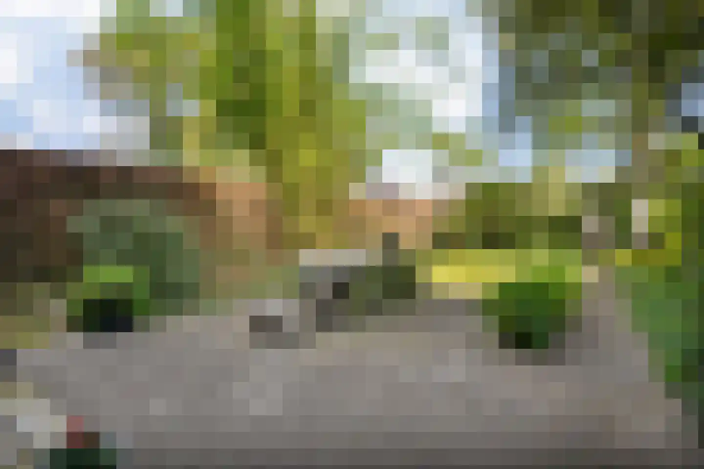 Sluiskade Noordzijde 98 Almelo thumbnail 58