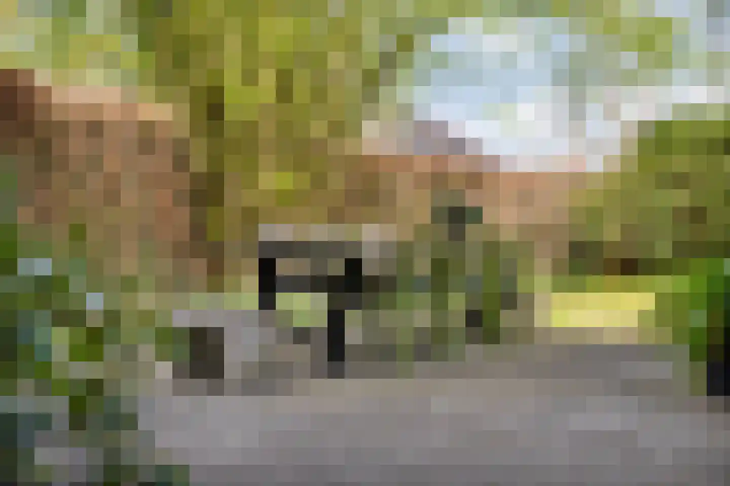 Sluiskade Noordzijde 98 Almelo thumbnail 59