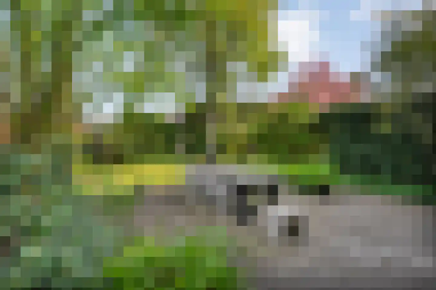 Sluiskade Noordzijde 98 Almelo thumbnail 61