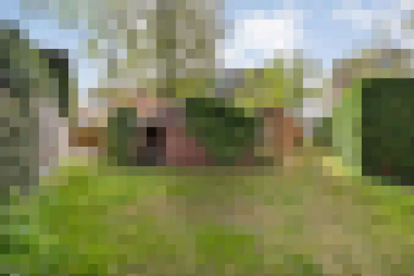 Sluiskade Noordzijde 98 Almelo thumbnail 65