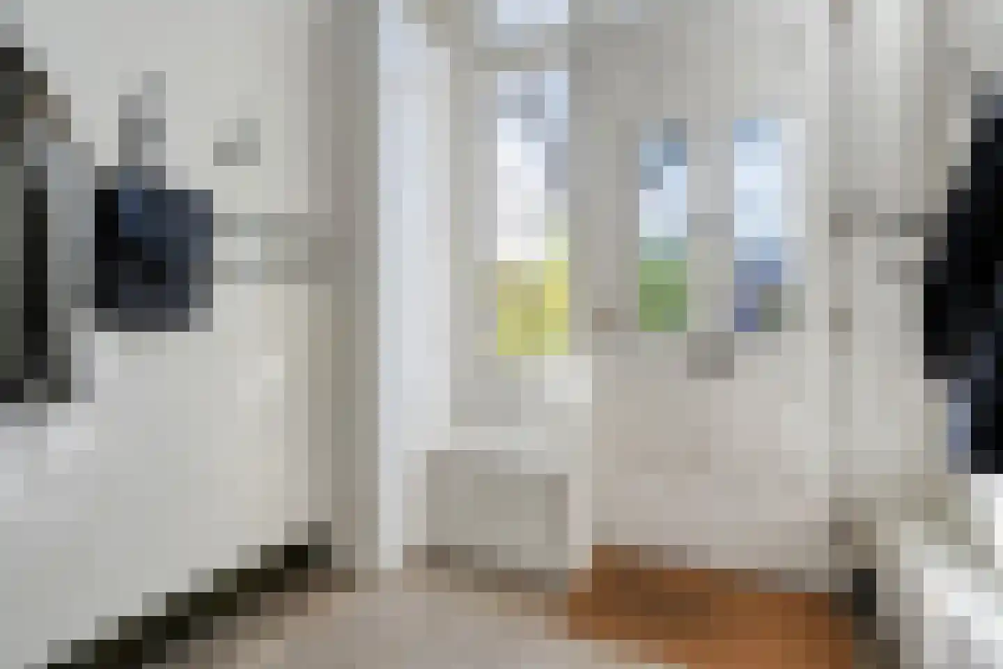 Sluiskade Noordzijde 98 Almelo thumbnail 8