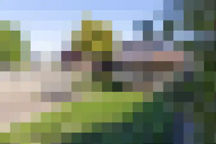 Sluiskade NZ 4 Westerhaar-Vriezenveensewijk thumbnail 38
