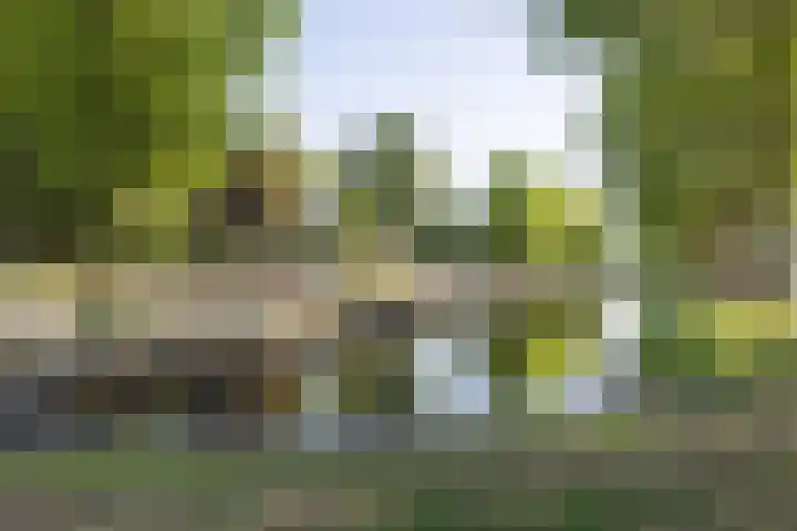 Sluiskade NZ 4 Westerhaar-Vriezenveensewijk thumbnail 40