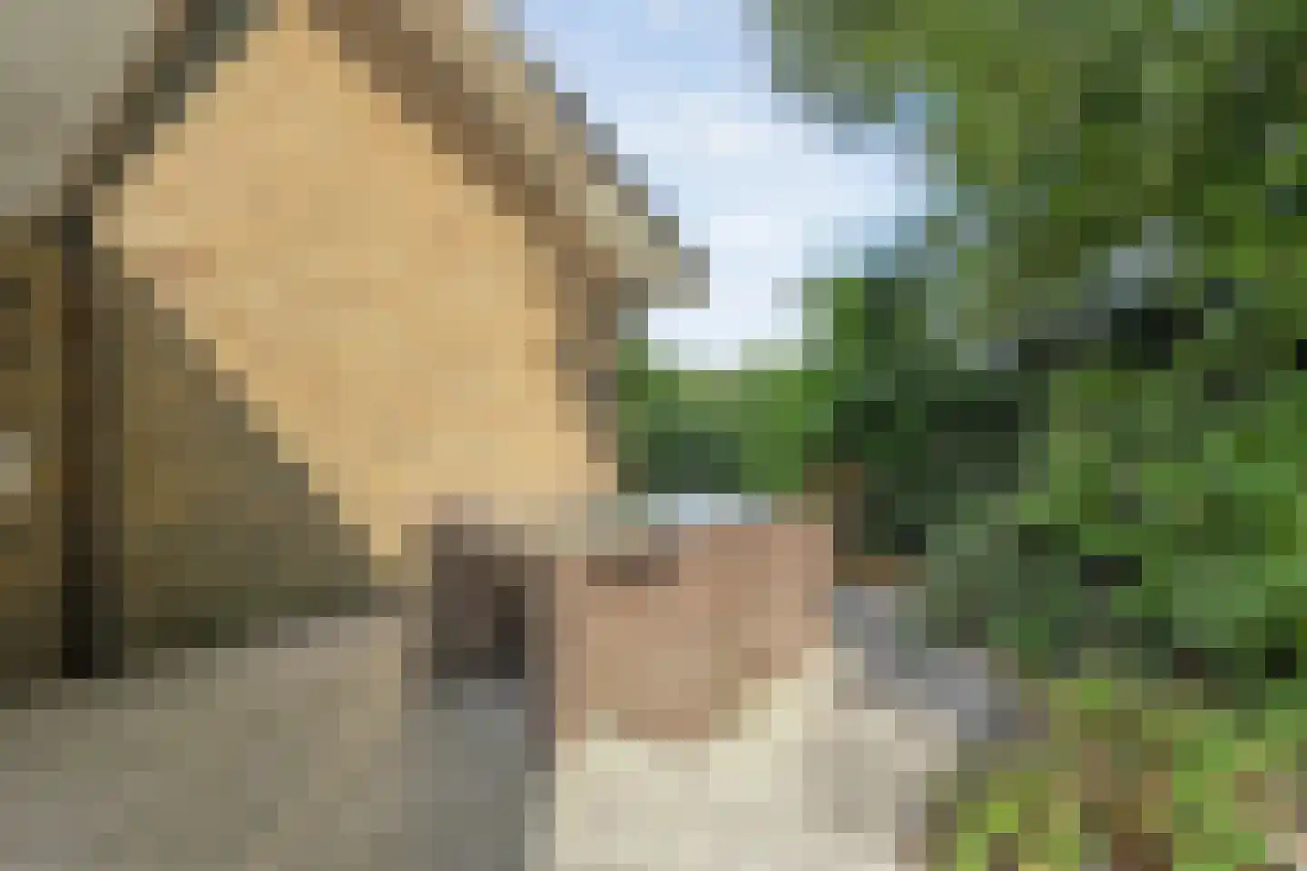 Sluiskade NZ 42 Westerhaar-Vriezenveensewijk thumbnail 26
