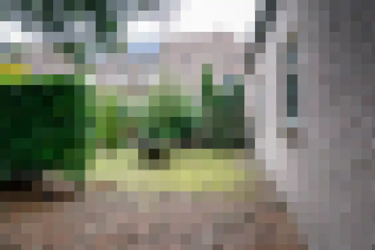 Sluiskade Zuidzijde 189 Almelo thumbnail 13