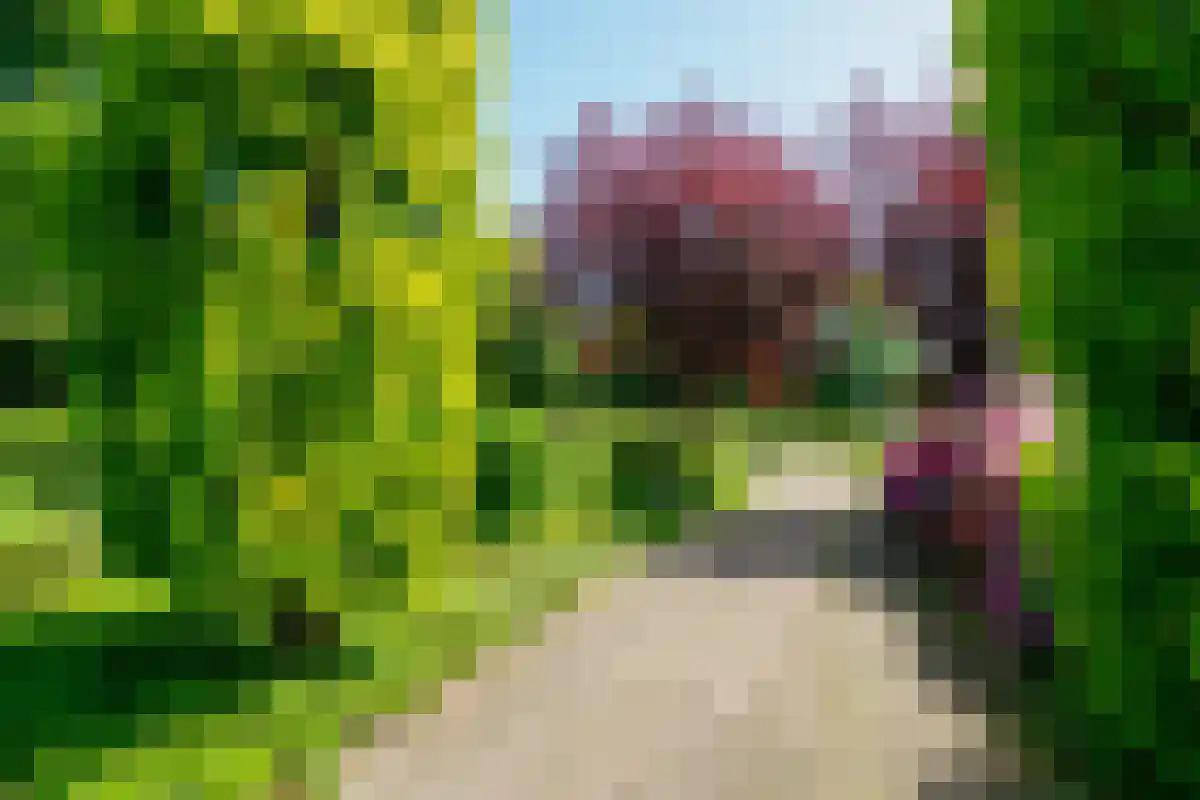 Sluiskade Zuidzijde 189 Almelo thumbnail 5