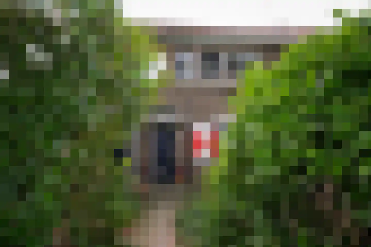 Sluiskade Zuidzijde 59 Almelo thumbnail 20