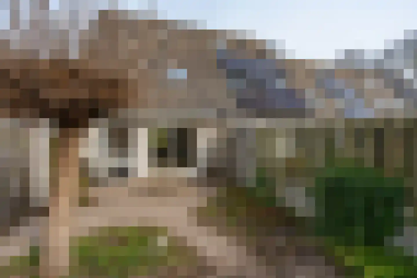 Sluiskamp 3001 Wijchen thumbnail 23