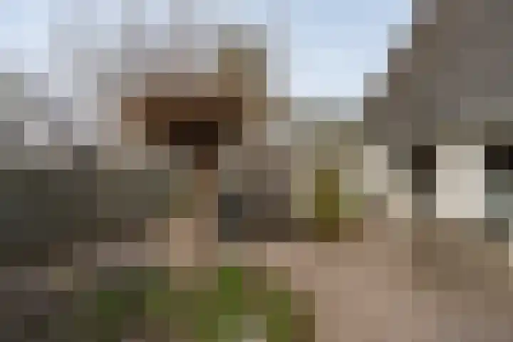 Sluiskamp 3001 Wijchen thumbnail 24