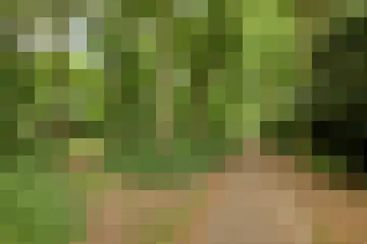 Sluiskamp 3017 Wijchen thumbnail 38