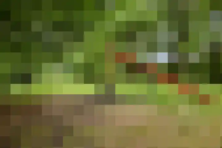 Sluiskamp 3017 Wijchen thumbnail 39