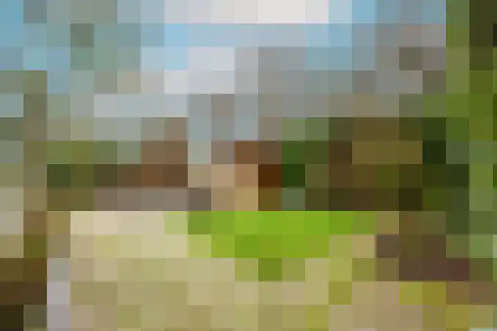 Sluiskamp 3023 Wijchen thumbnail 39