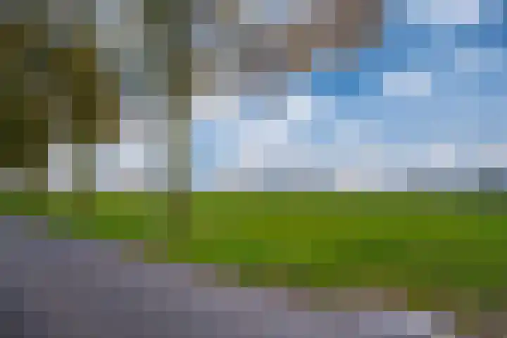 Sluiskamp 3130 Wijchen thumbnail 42