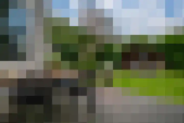 Sluiskamp 3154 Wijchen thumbnail 20