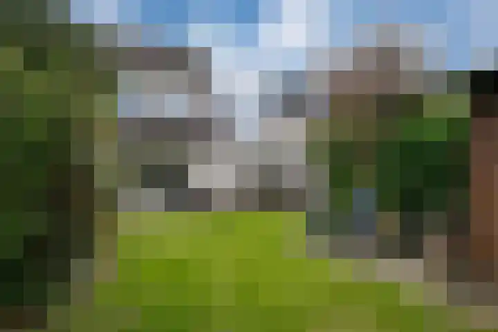 Sluiskamp 3154 Wijchen thumbnail 22