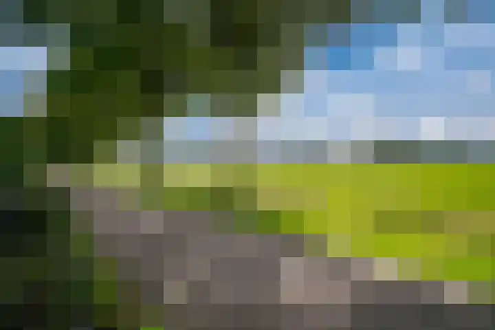Sluiskamp 3154 Wijchen thumbnail 37