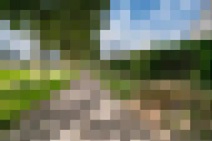 Sluiskamp 3154 Wijchen thumbnail 39