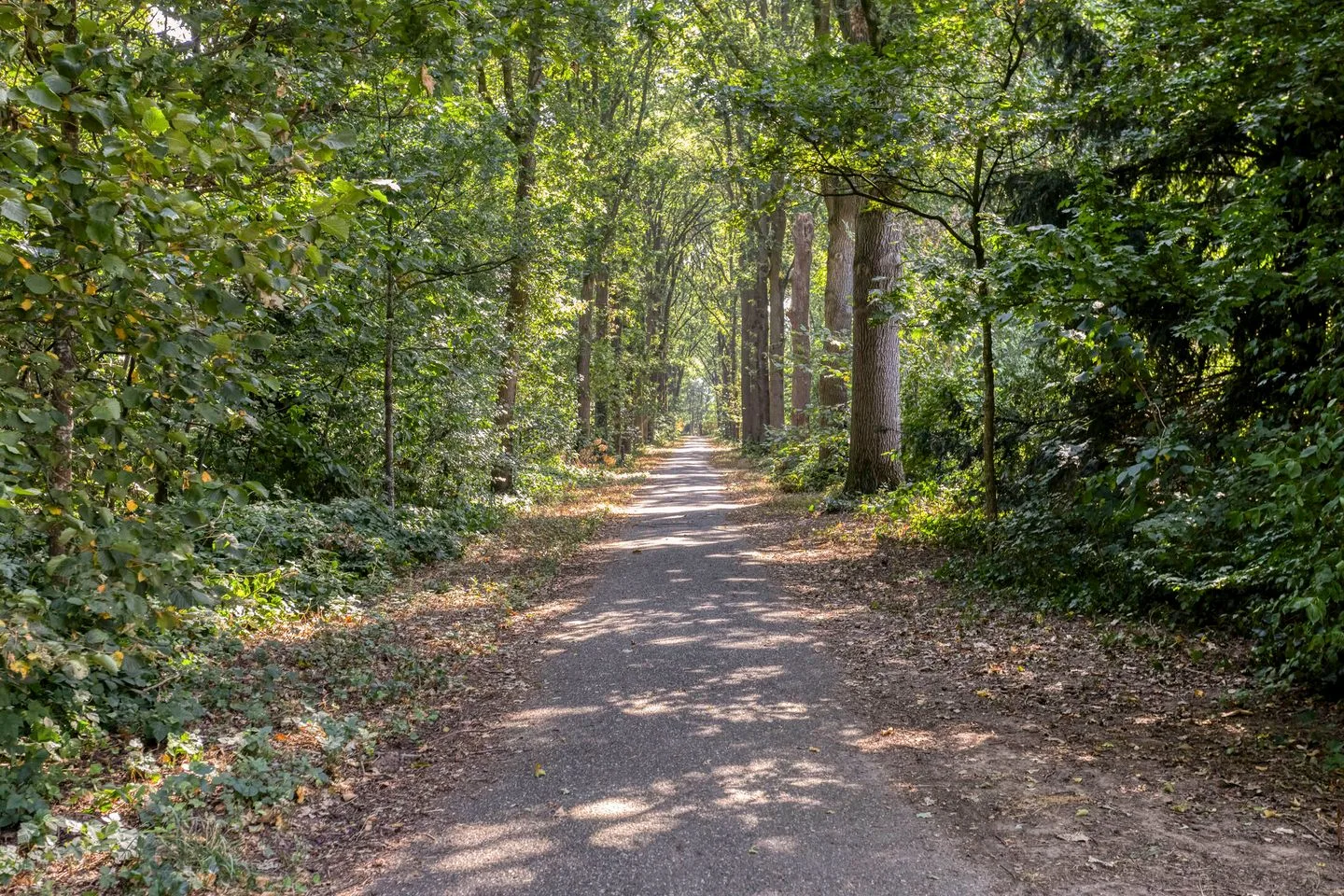 Sluiskamp 3186 Wijchen thumbnail 42