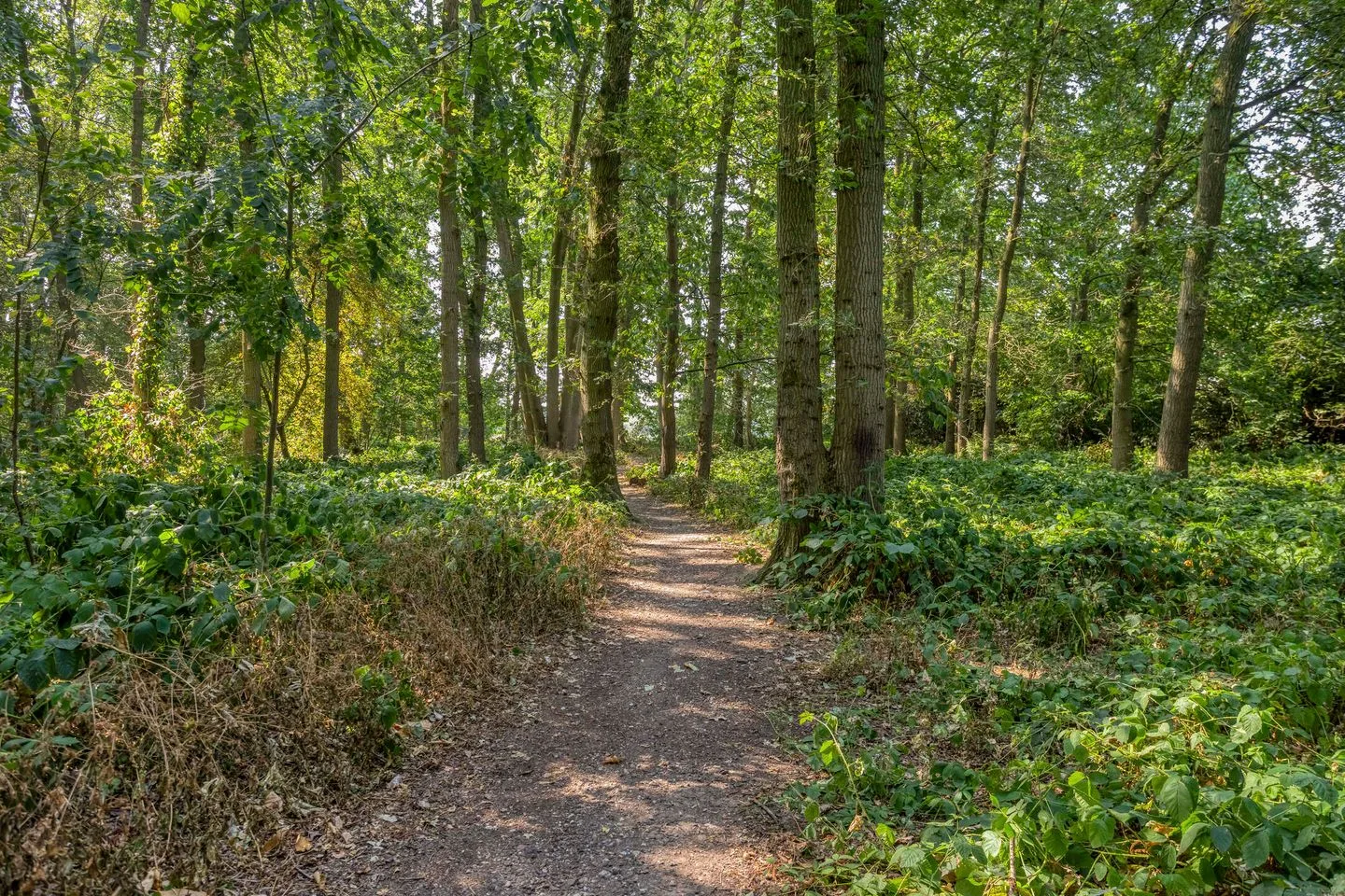 Sluiskamp 3186 Wijchen thumbnail 43