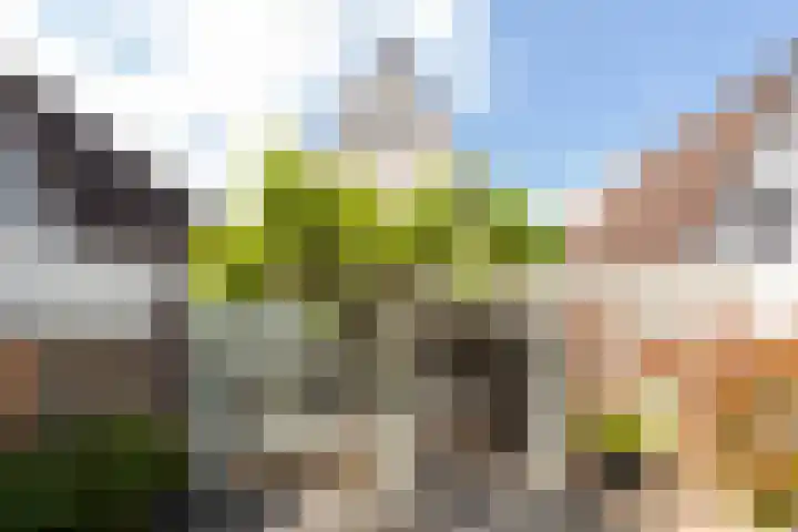 Sluiskamp 3218 Wijchen thumbnail 22