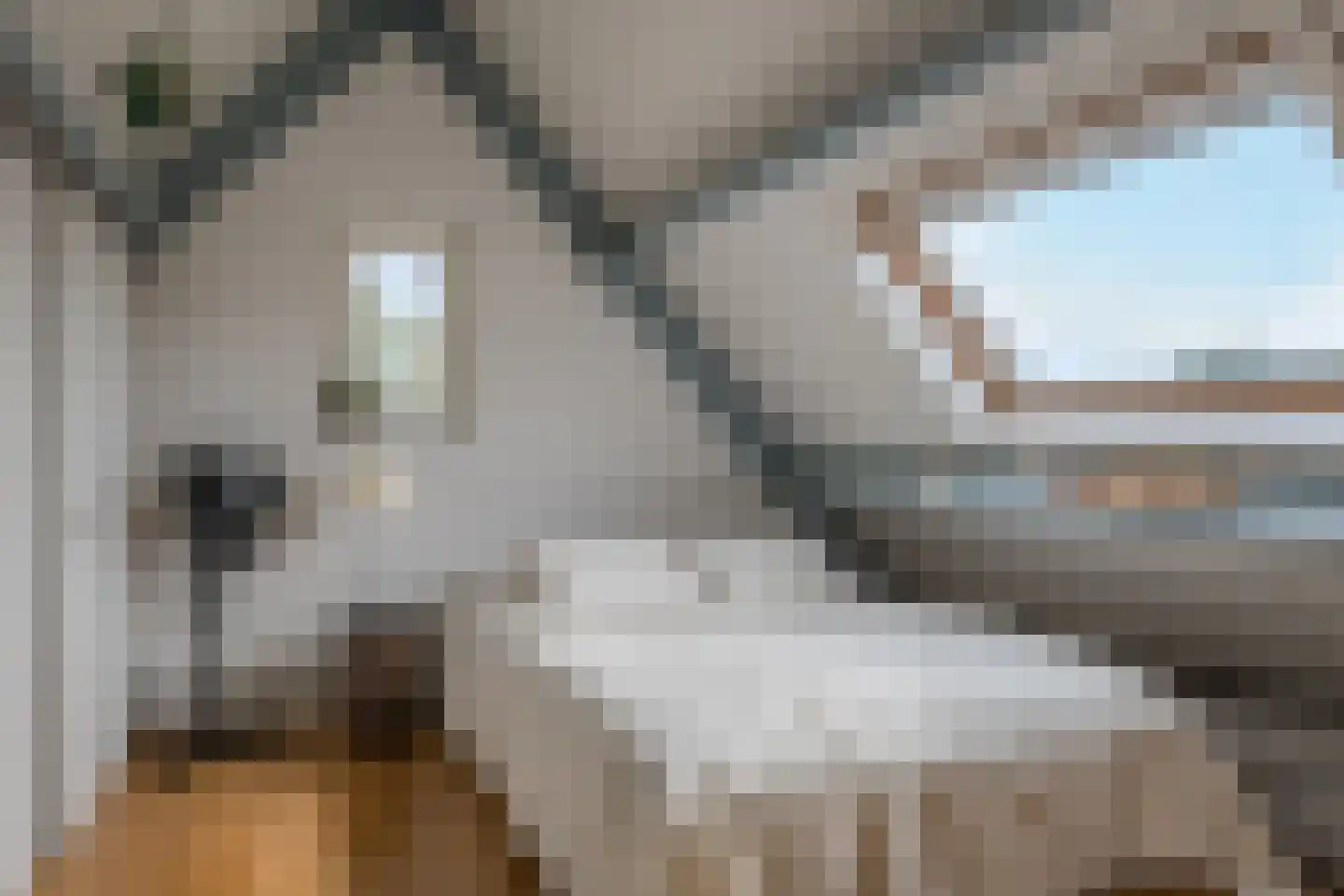 Sluiskamp 3225 Wijchen thumbnail 37