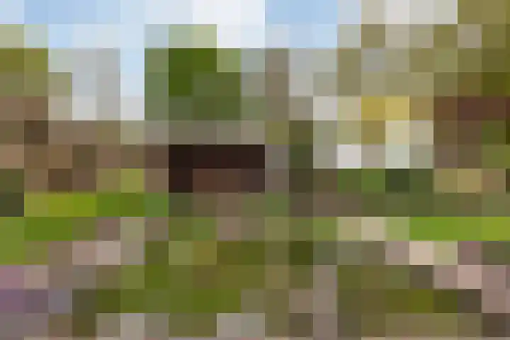 Sluiskamp 3331 Wijchen thumbnail 34