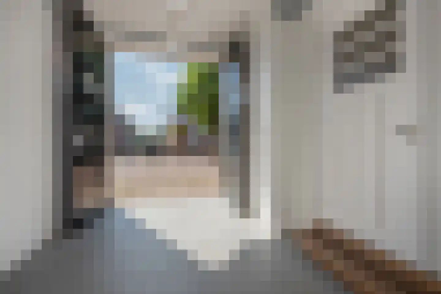 Sluiskant 27 Leidschendam thumbnail 61
