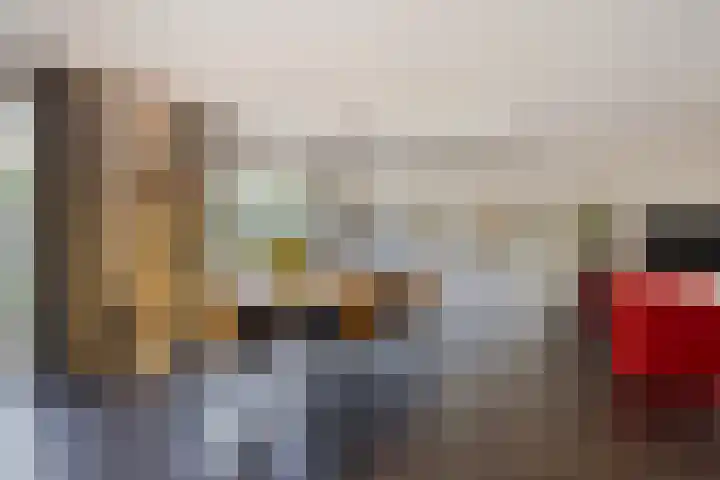 Sluiskeshoeven 4 Rosmalen thumbnail 22