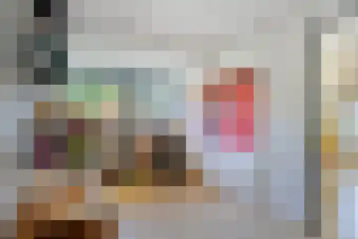 Sluiskeshoeven 4 Rosmalen thumbnail 35