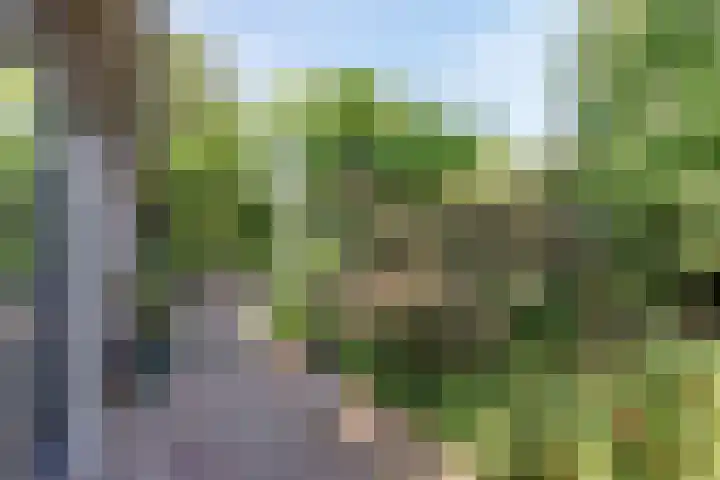 Sluiskeshoeven 4 Rosmalen thumbnail 42