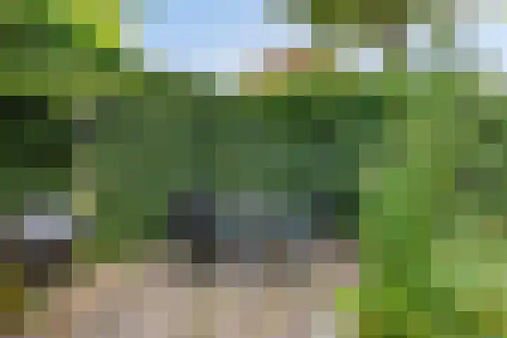 Sluiskeshoeven 4 Rosmalen thumbnail 49