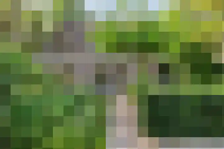 Sluiskeshoeven 4 Rosmalen thumbnail 50