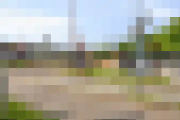 Sluiskeshoeven 89 Rosmalen thumbnail 34