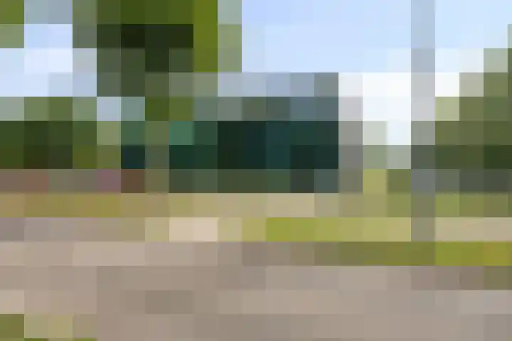 Sluiskeshoeven 89 Rosmalen thumbnail 35