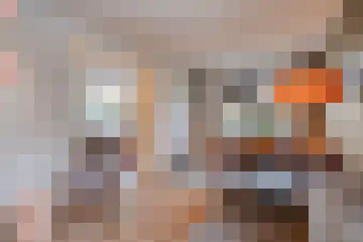 Sluiskeshoeven 94 Rosmalen thumbnail 21