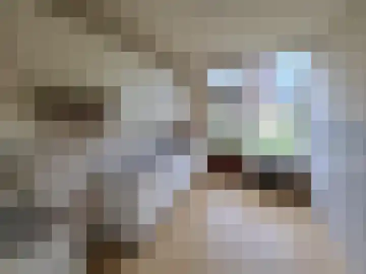 Sluiskreek 108 Rotterdam thumbnail 4