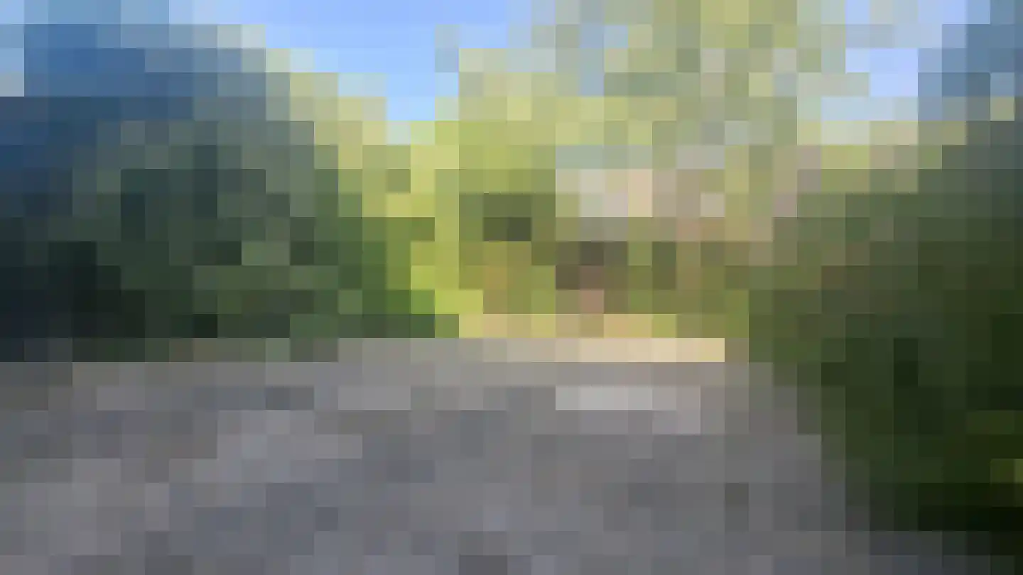 Sluiskreek 115 Rotterdam thumbnail 13