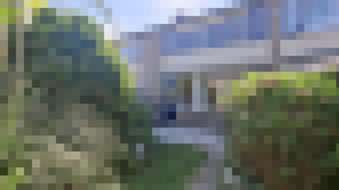 Sluiskreek 23 Rotterdam thumbnail 12