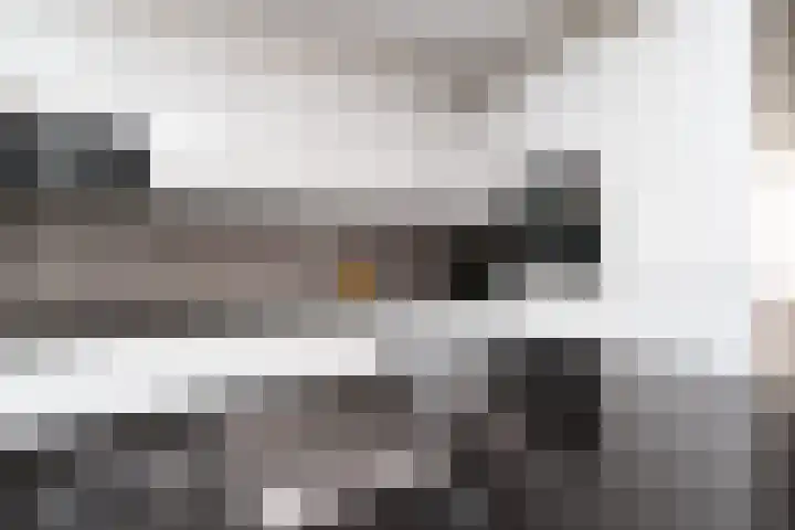 Sluiskreek 27 Rotterdam thumbnail 13