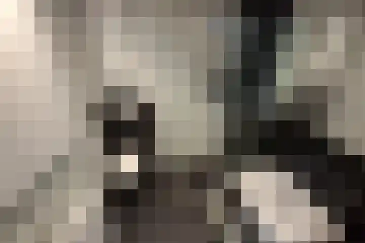 Sluiskreek 85 Rotterdam thumbnail 8