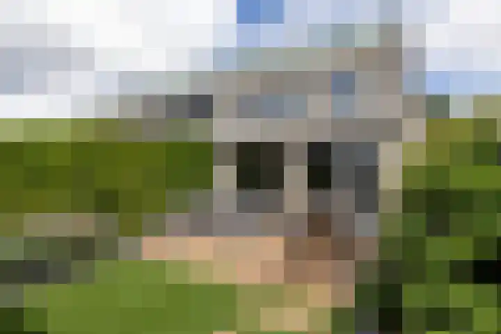 Sluisleede 49 Barendrecht thumbnail 30