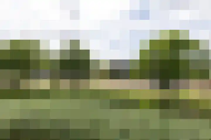 Sluisleede 49 Barendrecht thumbnail 5