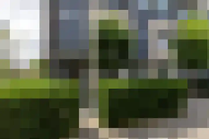 Sluisleede 49 Barendrecht thumbnail 7