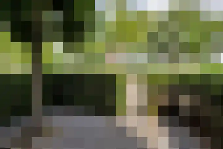 Sluisleede 49 Barendrecht thumbnail 8