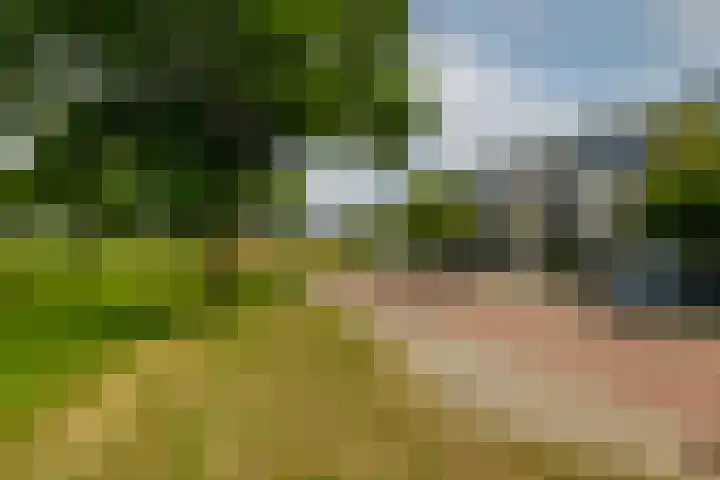 Sluisleede 5 Barendrecht thumbnail 35