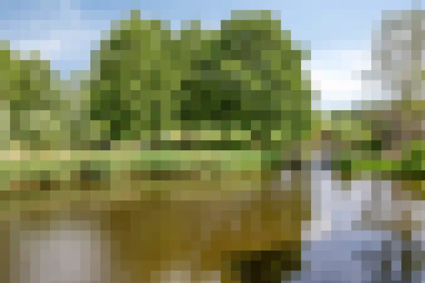 Sluismeesterslag 38 Gouda thumbnail 32