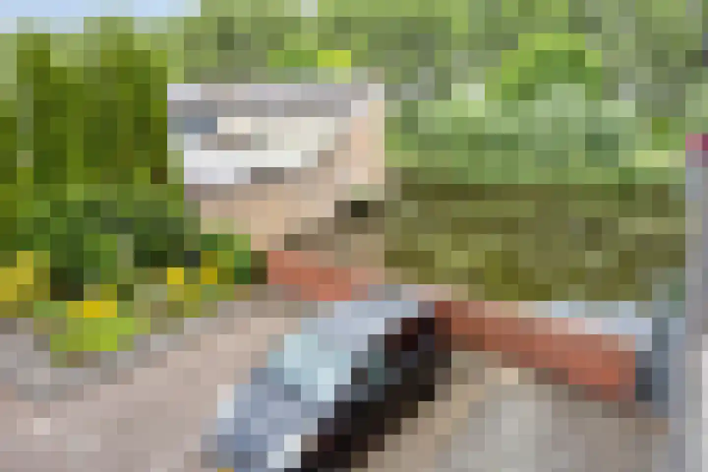 Sluismeesterslag 38 Gouda thumbnail 35