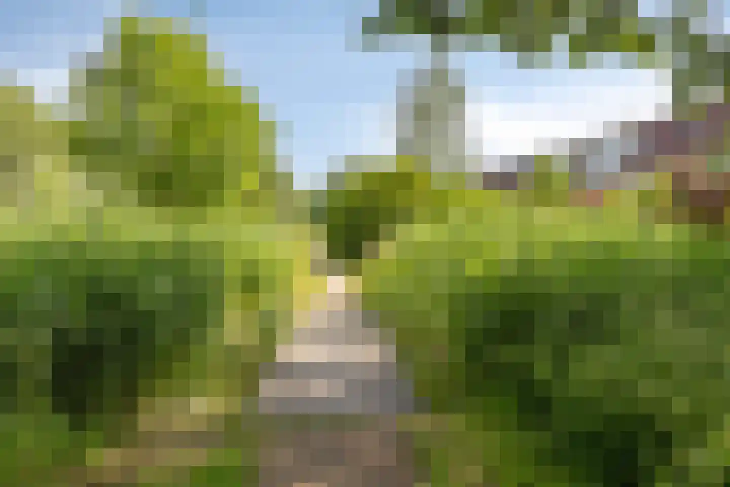 Sluismeesterslag 38 Gouda thumbnail 38