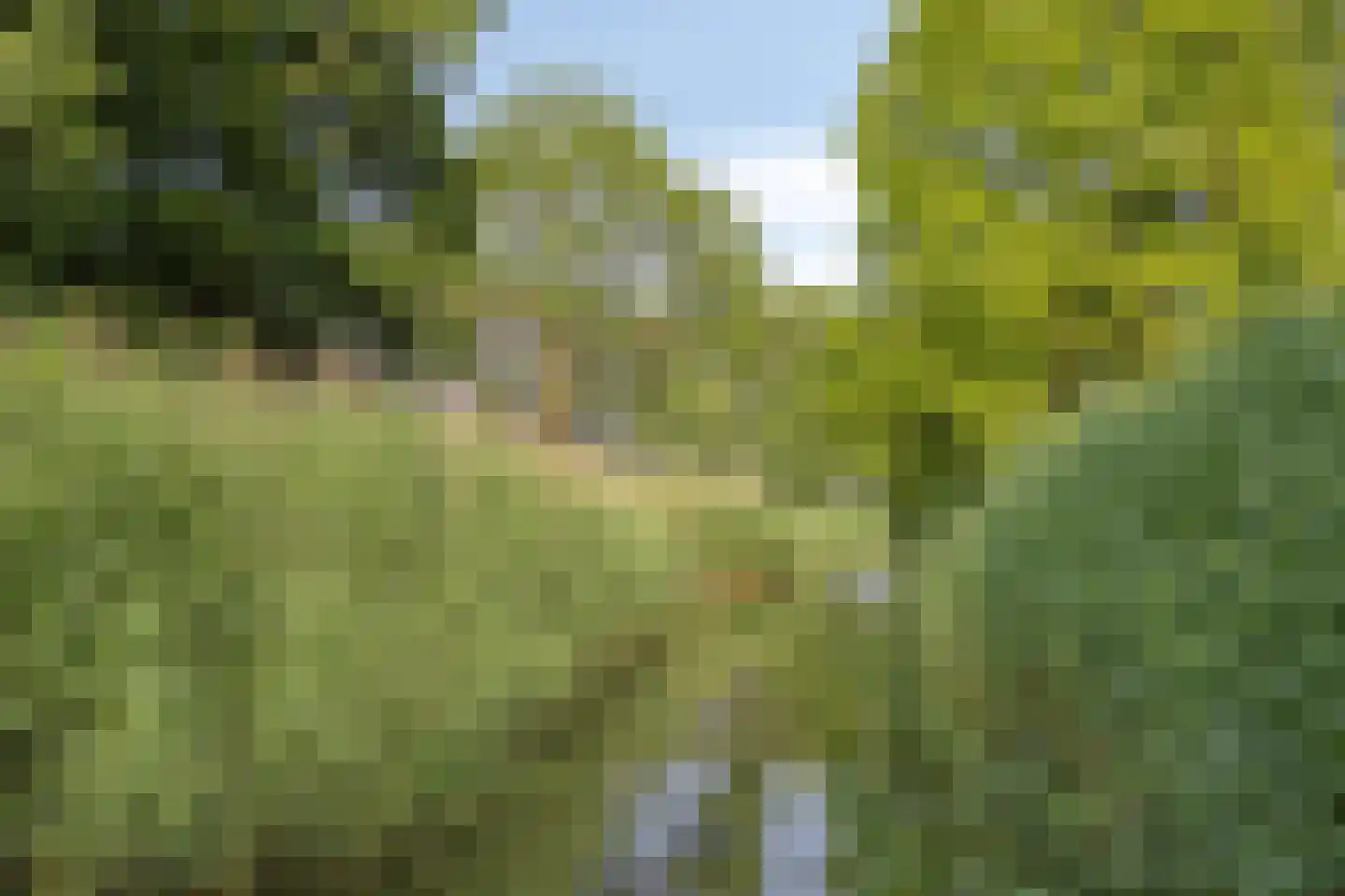 Sluismeesterslag 38 Gouda thumbnail 39